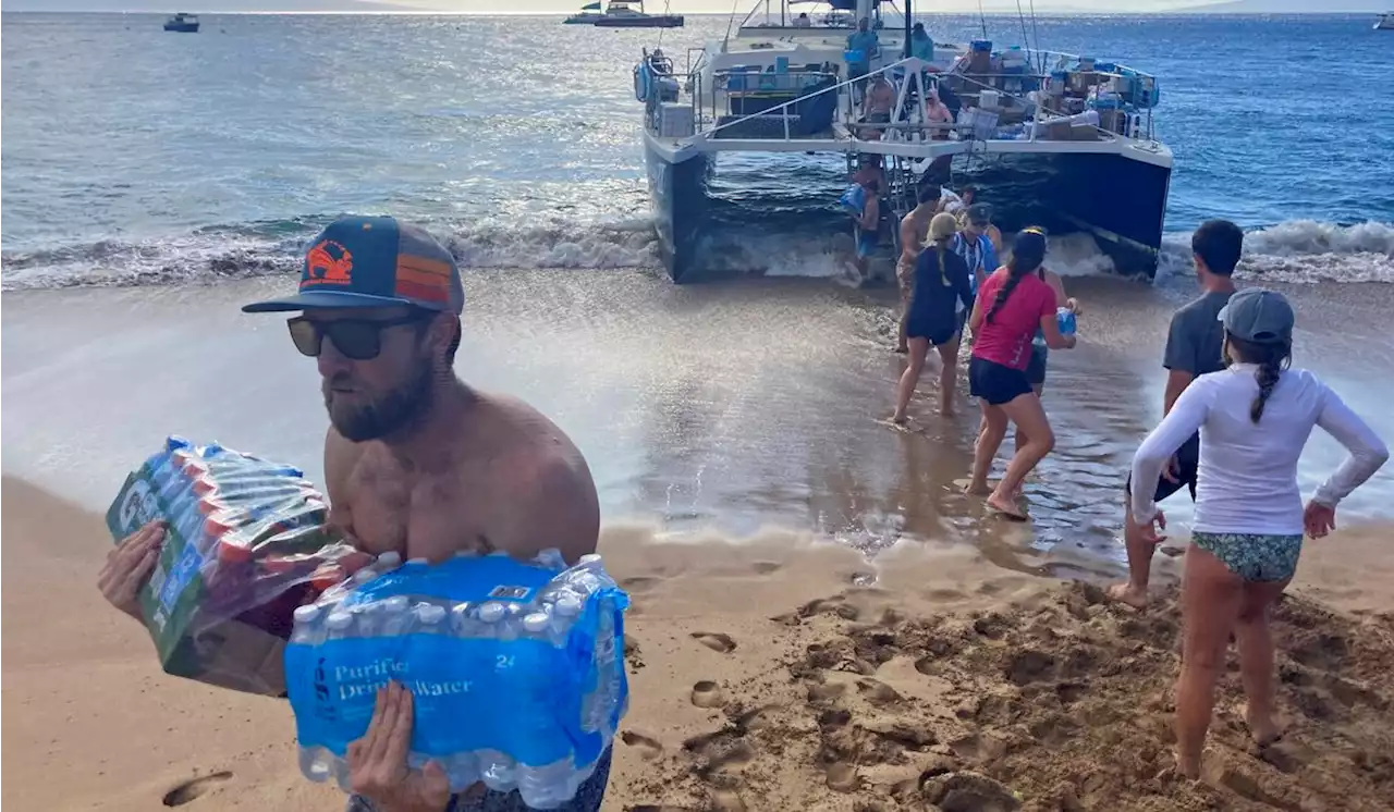 Maui water is unsafe even with filters, one of the lessons learned from fires in California