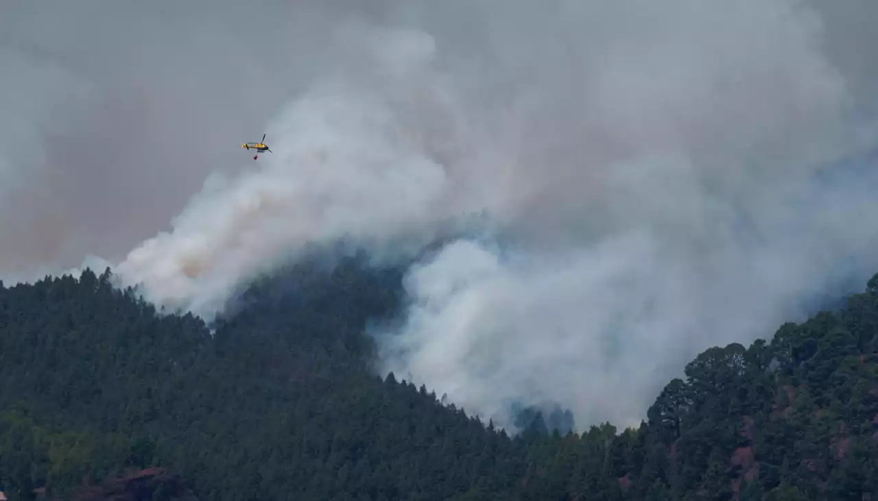 Más de 13 mil hectáreas ha consumido incendio en Tenerife, España