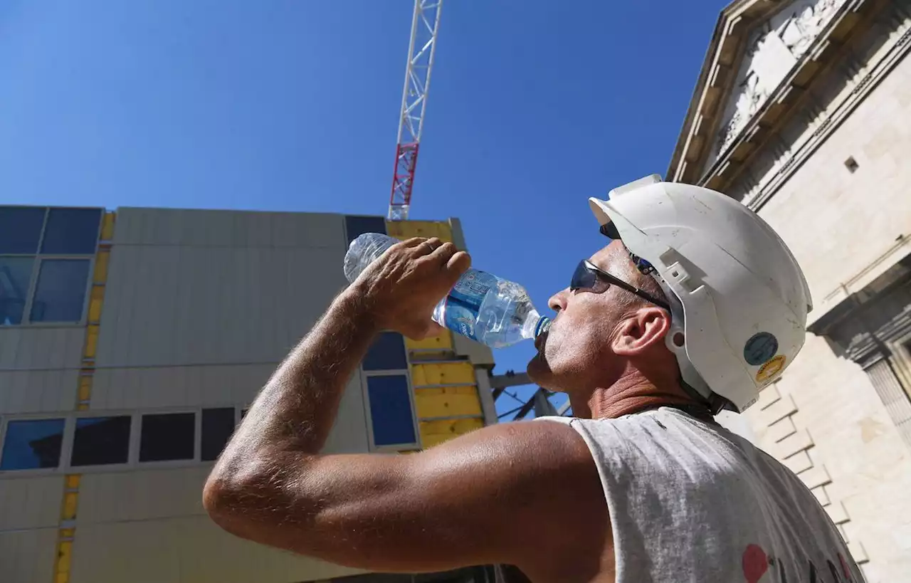 Canicule EN DIRECT : Les fortes chaleurs s'intensifient, pas de baisse prévue avant vendredi...