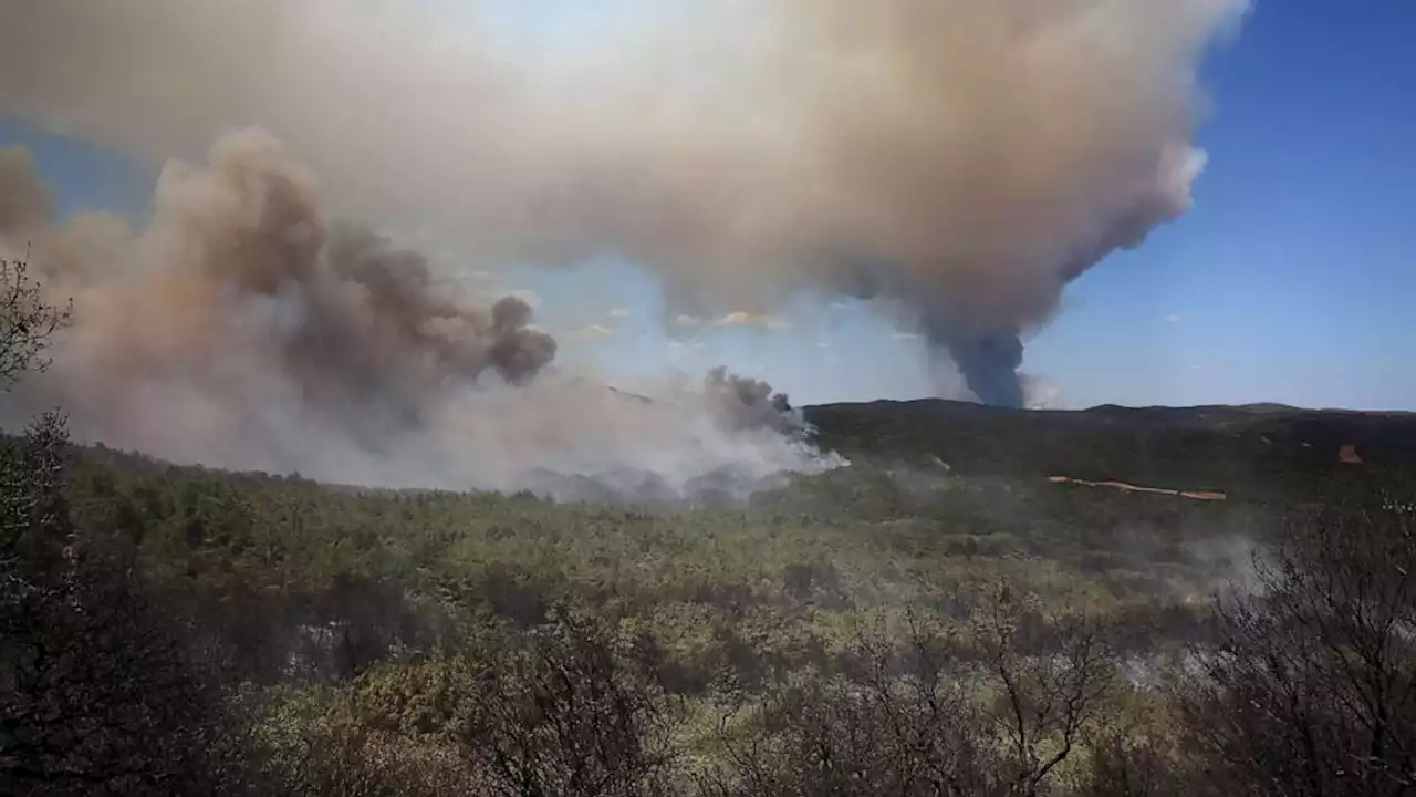 18 found dead in forest in Greece as wildfires burn