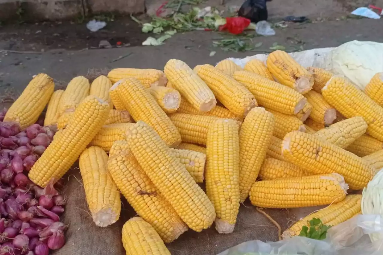 Pemkab Lebak penuhi makanan pendamping beras di tengah El Nino