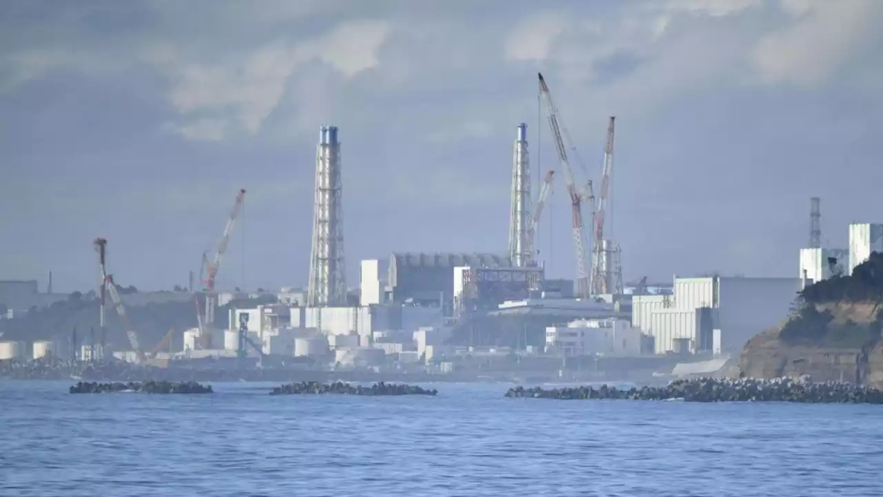 Fukushima: China fordert Stopp der Einleitung von Kühlwasser