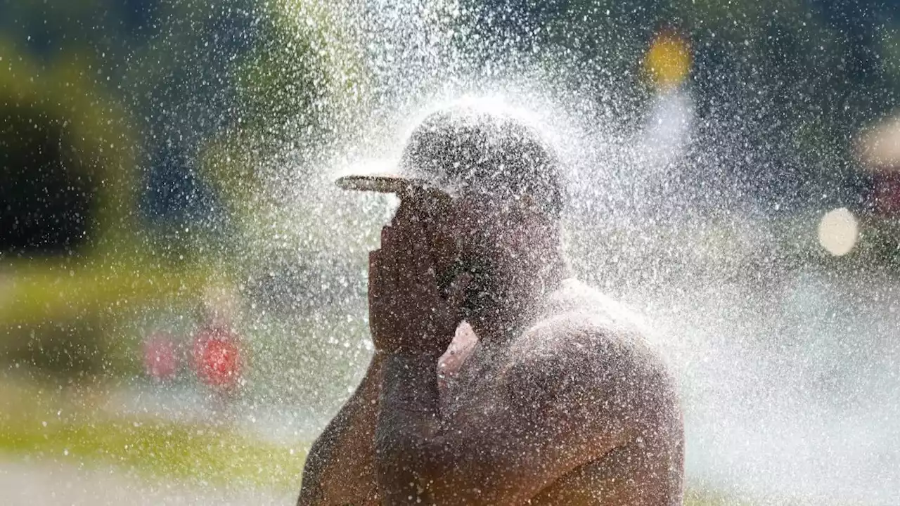 Wetter: Ein Blick 50 Jahre zurück und voraus