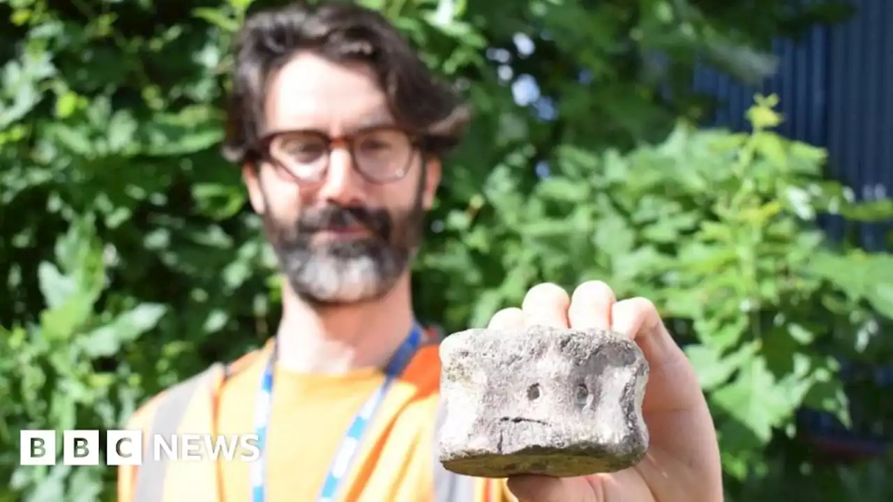 Cambridge dinosaur bone probably from Roman fossil hunter