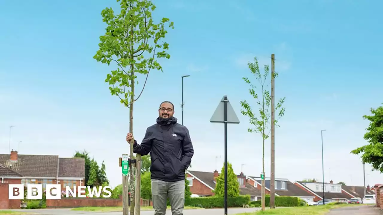 Leeds residents asked to help fund tree planting scheme