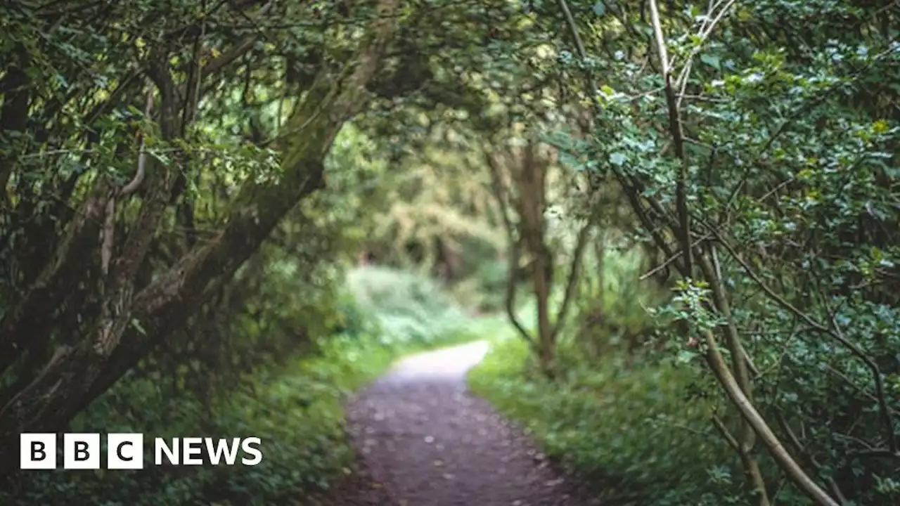 New 'tiny forest' to be planted in Leicestershire