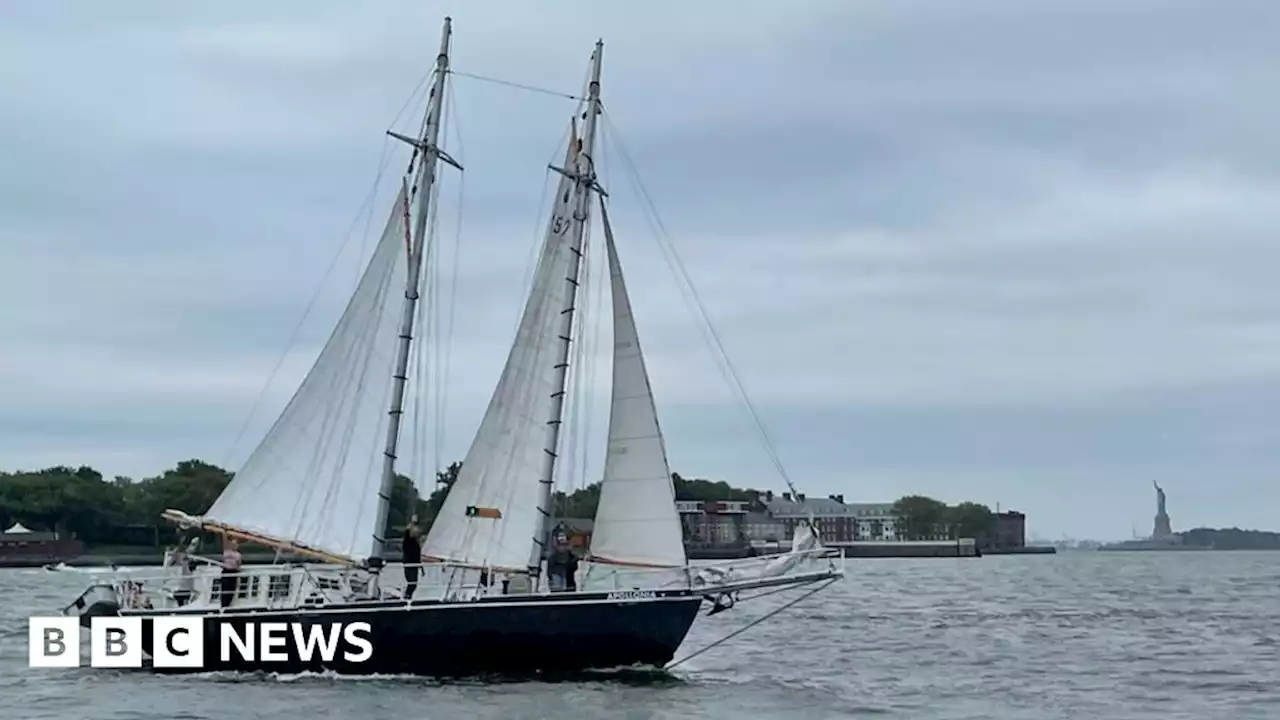 The return of cargo-carrying sail ships