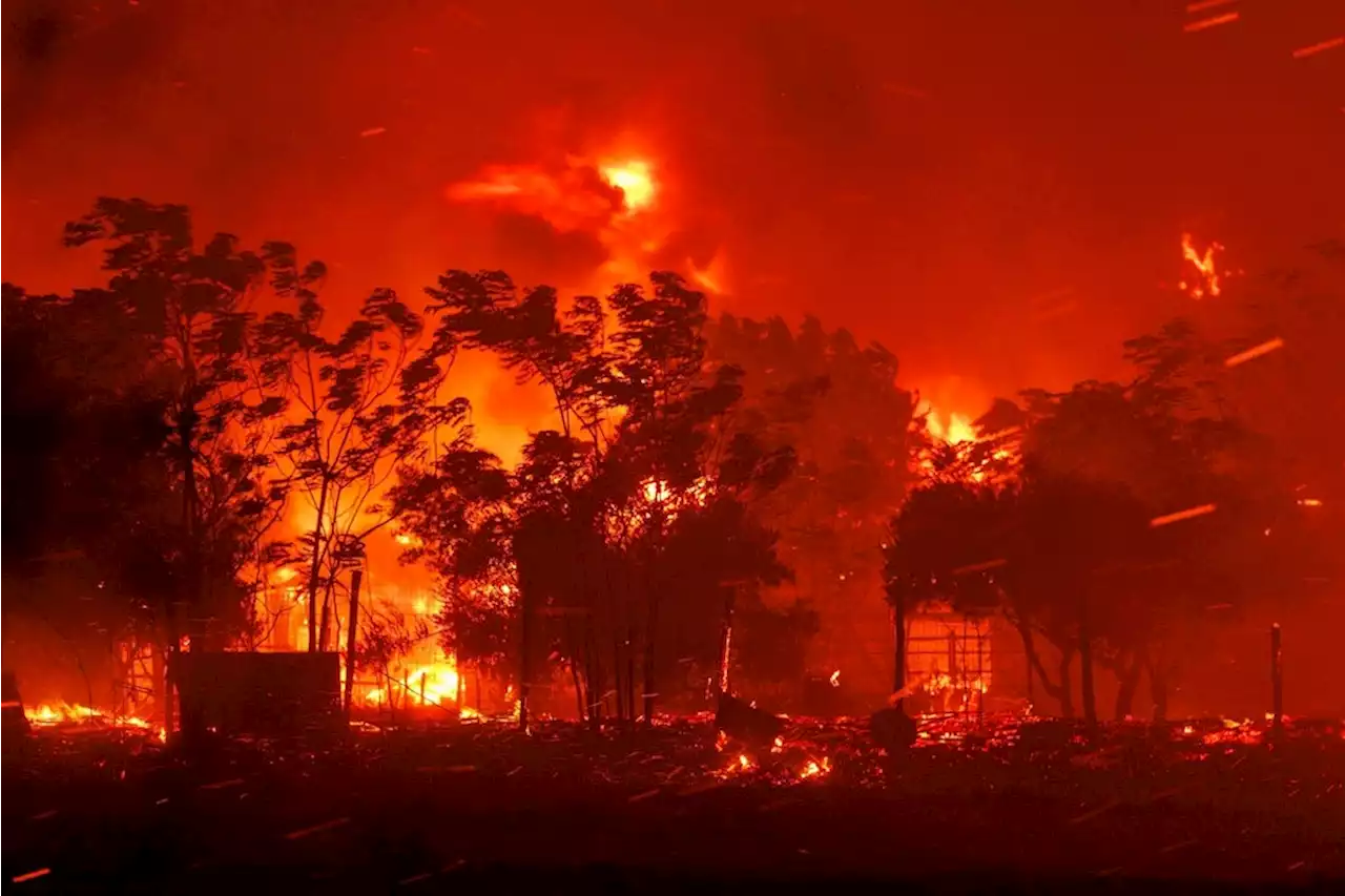 Waldbrände in Griechenland: In Alexandroupolis regnet es Asche