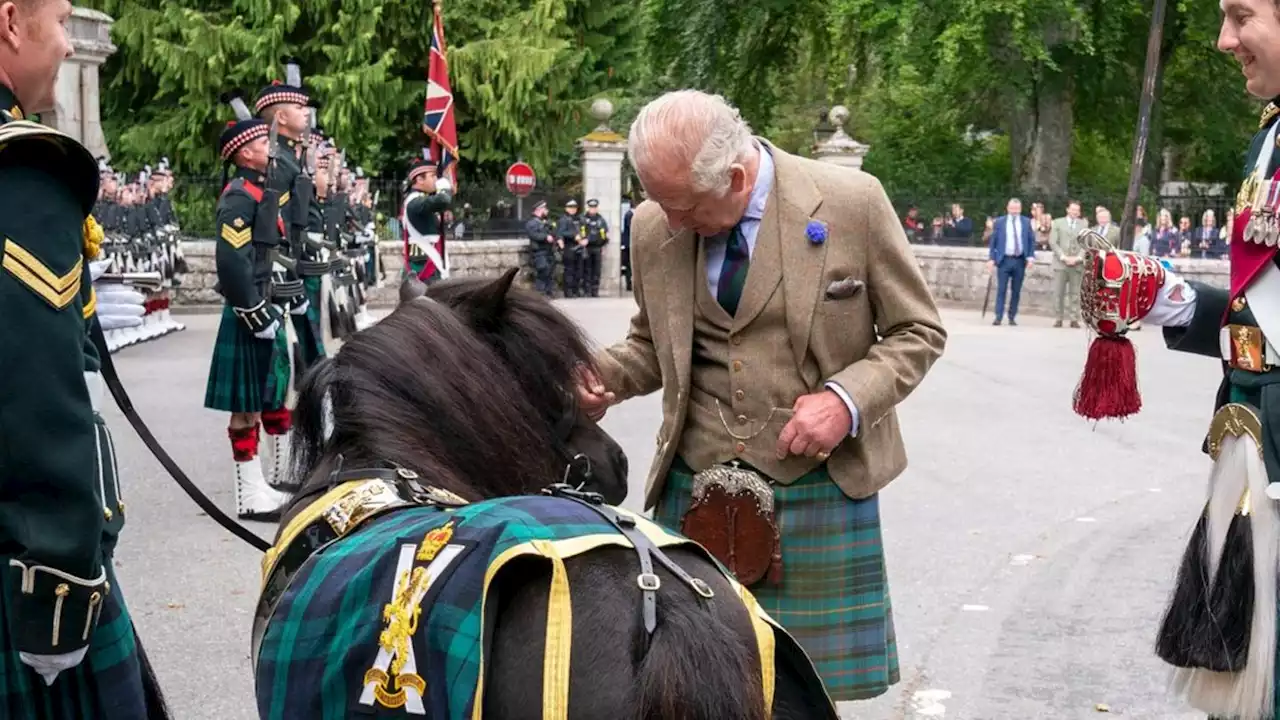 Pony stiehlt ihm auf Schloss Balmoral zunächst die Show