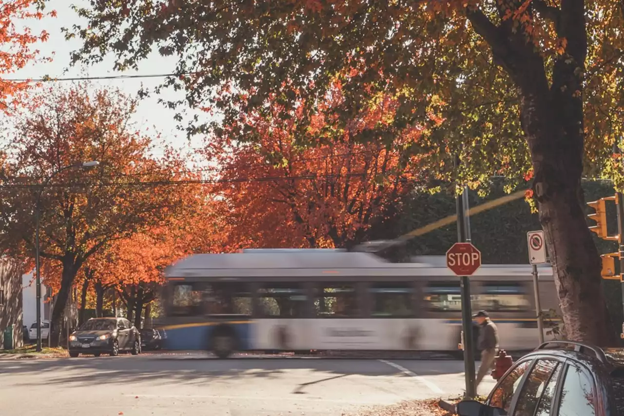 TransLink to increase bus services for Burnaby post-secondary students