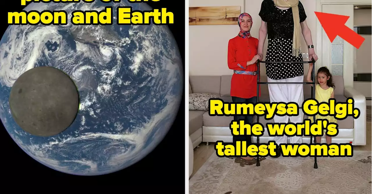 I Have A Brain The Size Of A Peanut, So My Mind Was Totally Blown After Seeing These 21 Absolutely Fascinating Pictures For The Very First Time Last Week