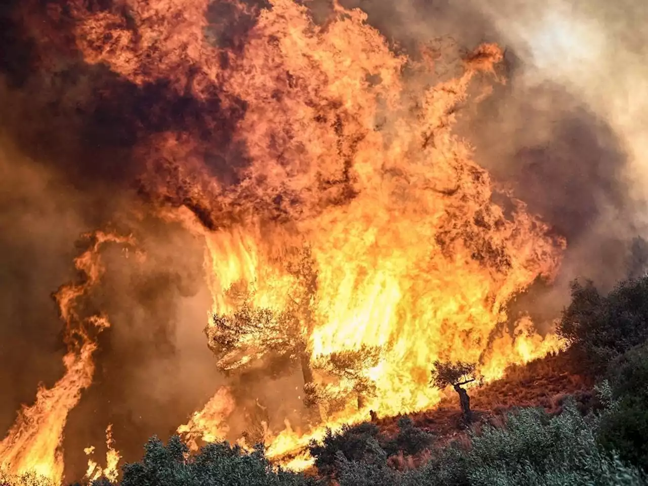 Greek authorities say bodies of 18 people found in area struck by wildfire