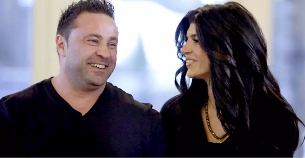 Could Joe Giudice Come Back to the United States with Teresa's Help?