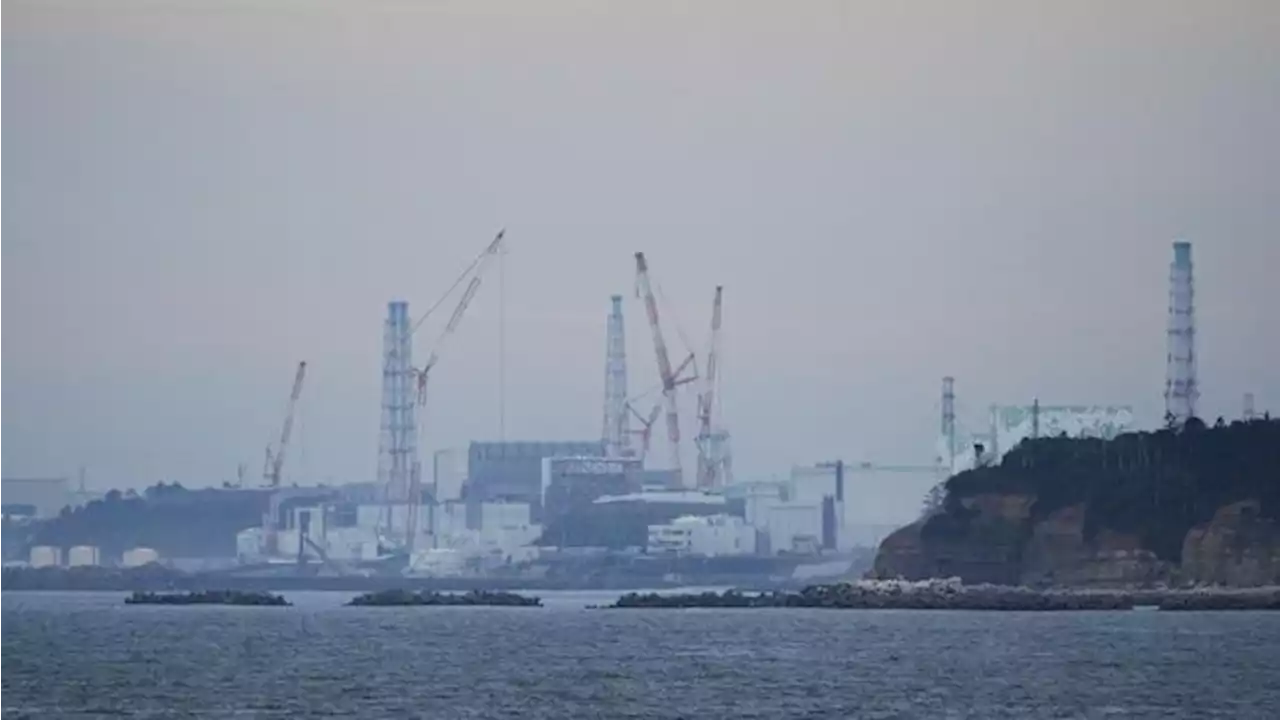 Jepang Buang Limbah Nuklir Ke Laut, Negara Tetangga 'Ngamuk'