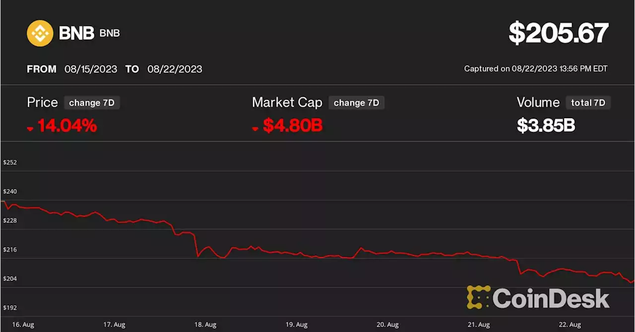 BNB Token Stumbles to 1-Year Low Amid Mounting Scrutiny Over Binance