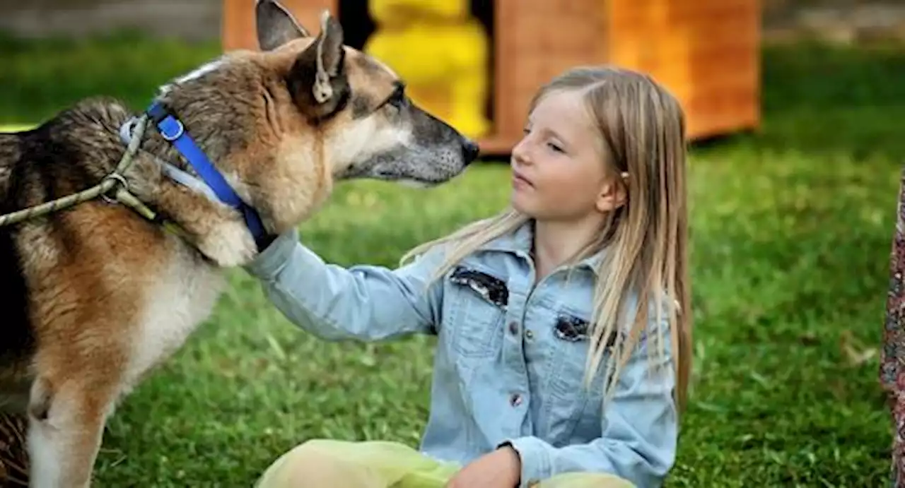 Stella, figlia di Michela Vittoria Brambilla, a 9 anni sui social per raccontare gli animali