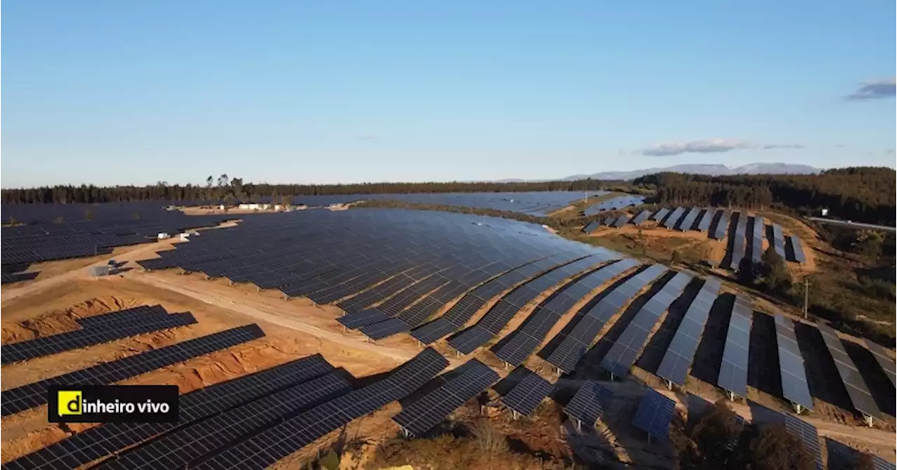 Greenvolt liga à rede elétrica primeira central solar de grande dimensão