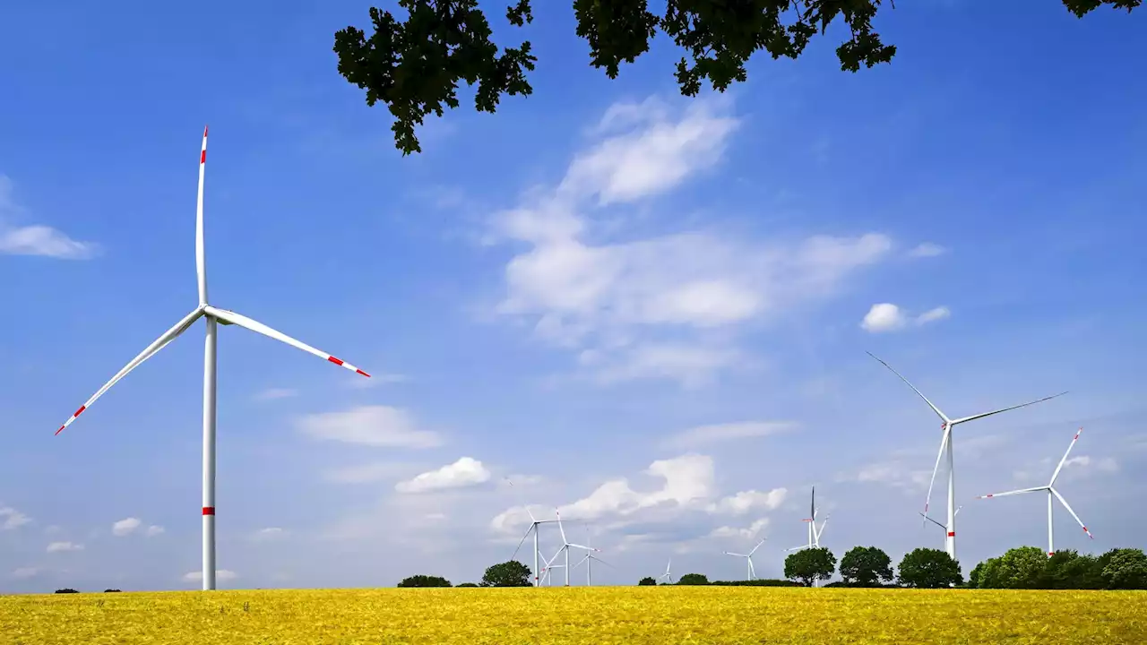 - Expertenrat vermisst 'schlüssiges Konzept' der Bundesregierung zur CO2-Reduktion