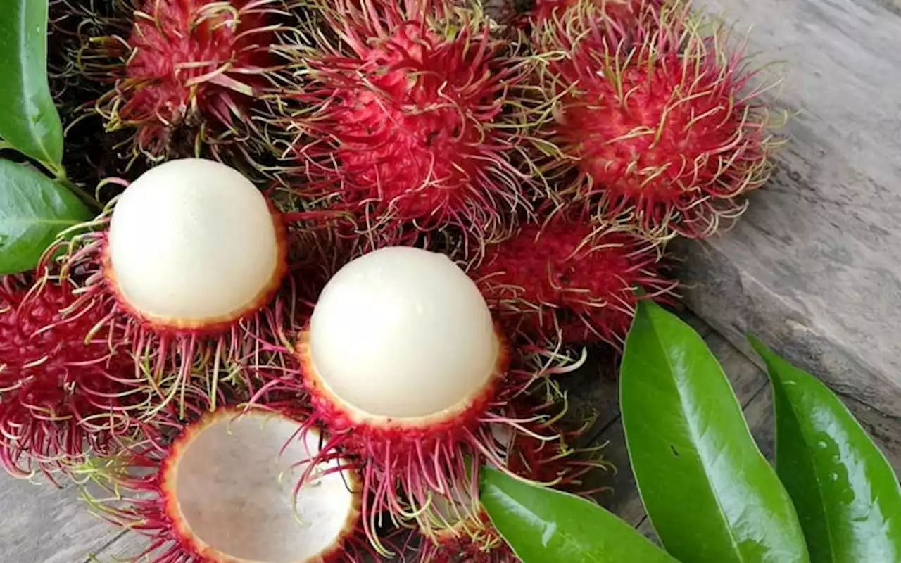 Budak 9 tahun maut dipercayai tercekik rambutan