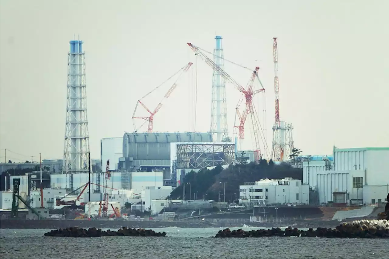 S. Korea has no issue with Fukushima water release plan