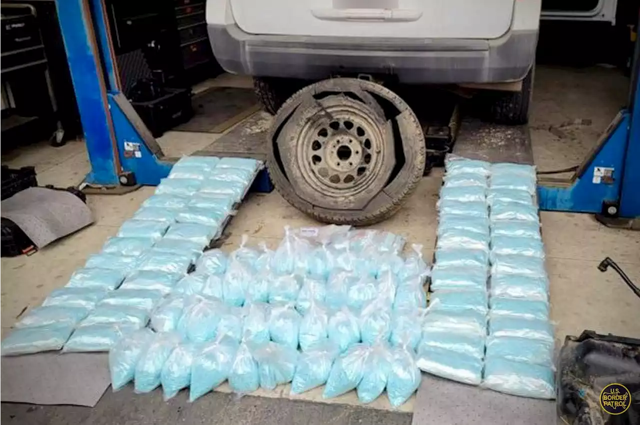 Border patrol seizes $6M worth of narcotics and three sex offenders in 72-hour period