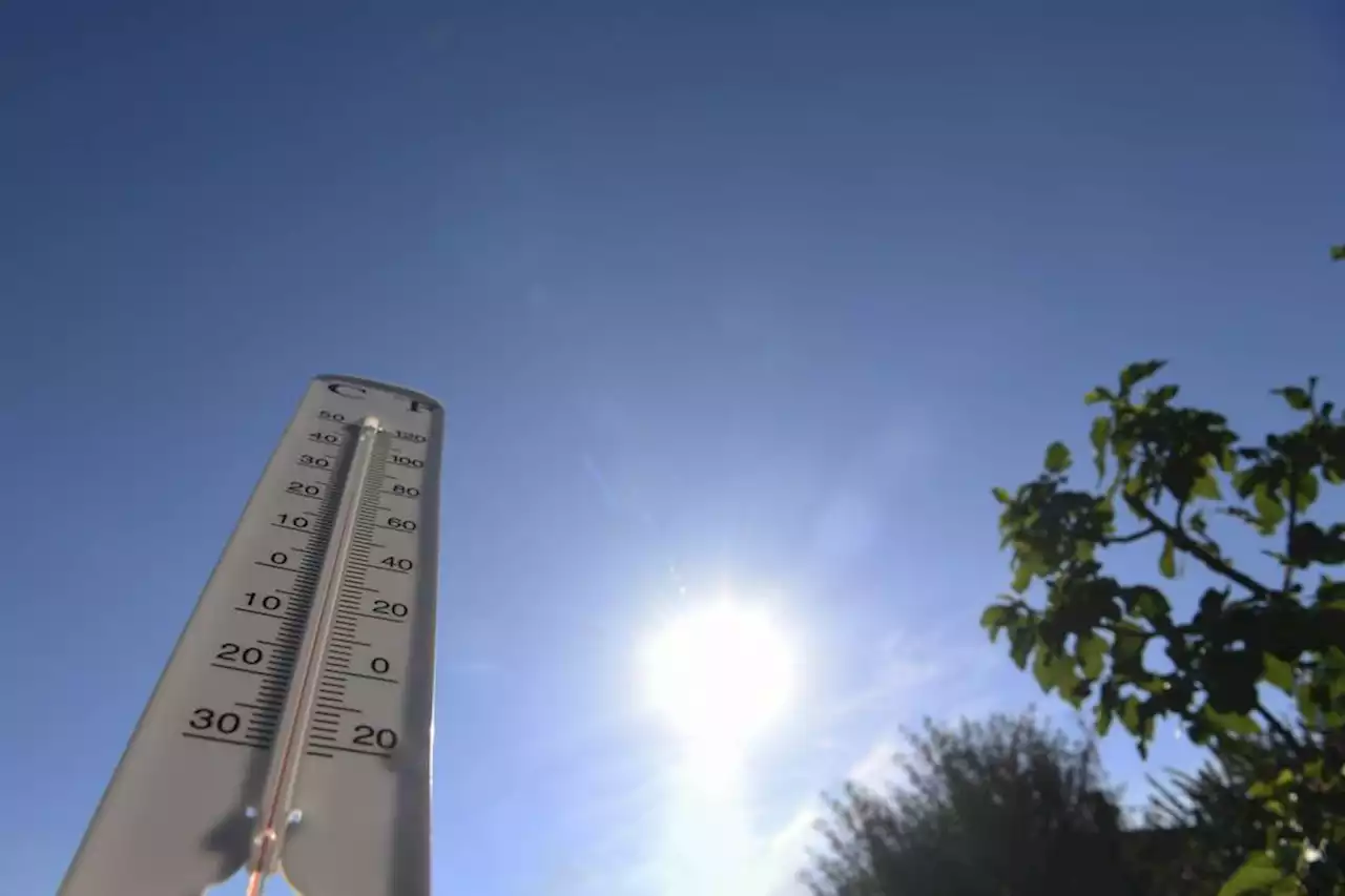 VIDEO. L'alerte canicule prolongée ce mardi dans les Alpes-Maritimes et le Var