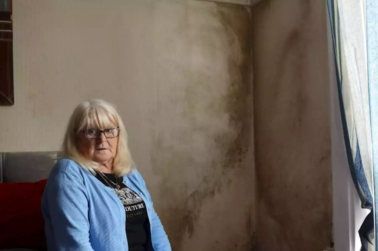 Glasgow gran forced to sleep on mouldy couch in damp home