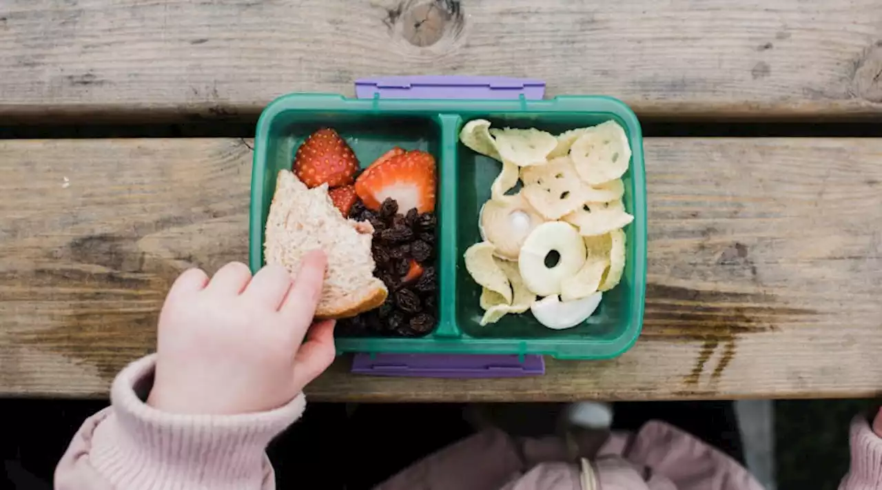 The Best Lunch Boxes For Kids To Buy Ahead Of The New School Year