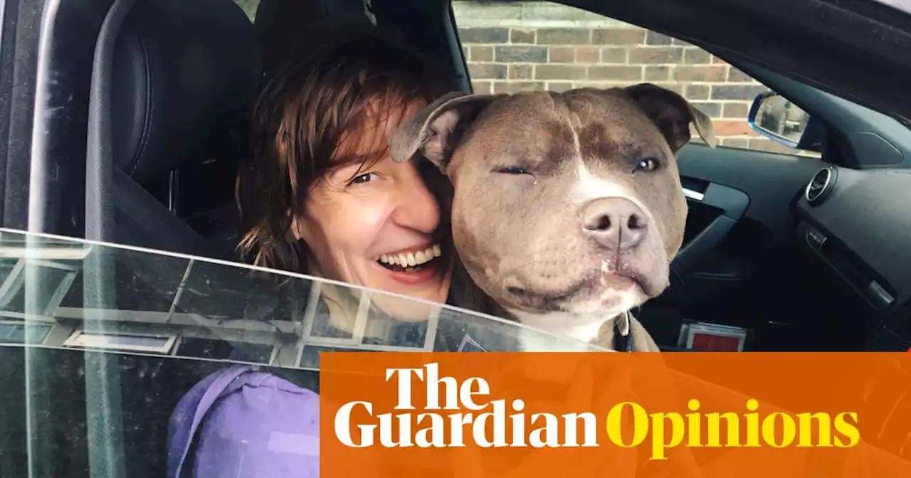 I asked a strange woman to look after my dog. I’ll admit it: I feared the worst