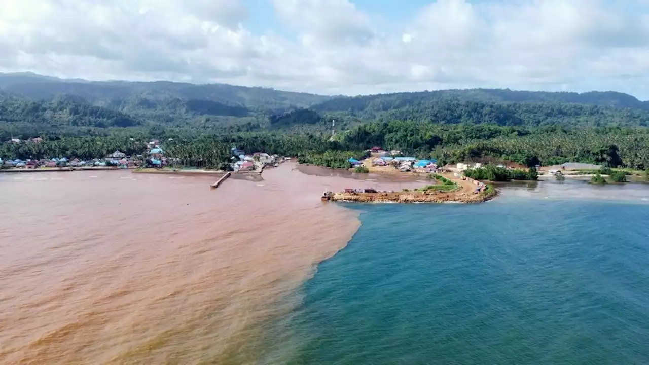 Flora dan Fauna Pulau Wawonii Terancam Tambang Nikel