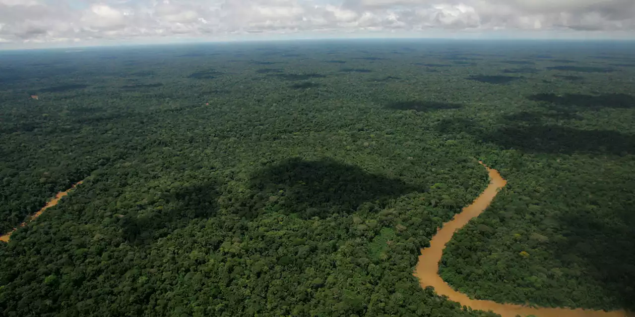 L'Ecuador smetterà di estrarre petrolio dal suo giacimento nella foresta amazzonica