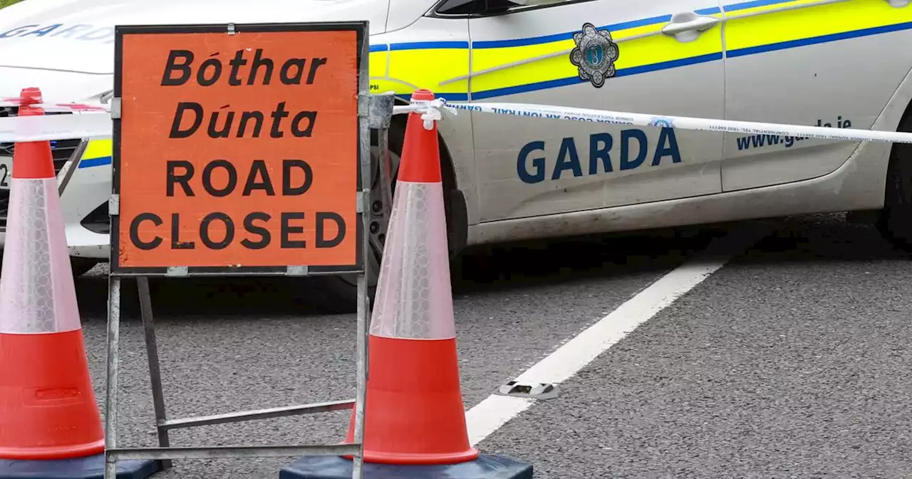 Man dies in early morning single-vehicle crash in Co Kilkenny