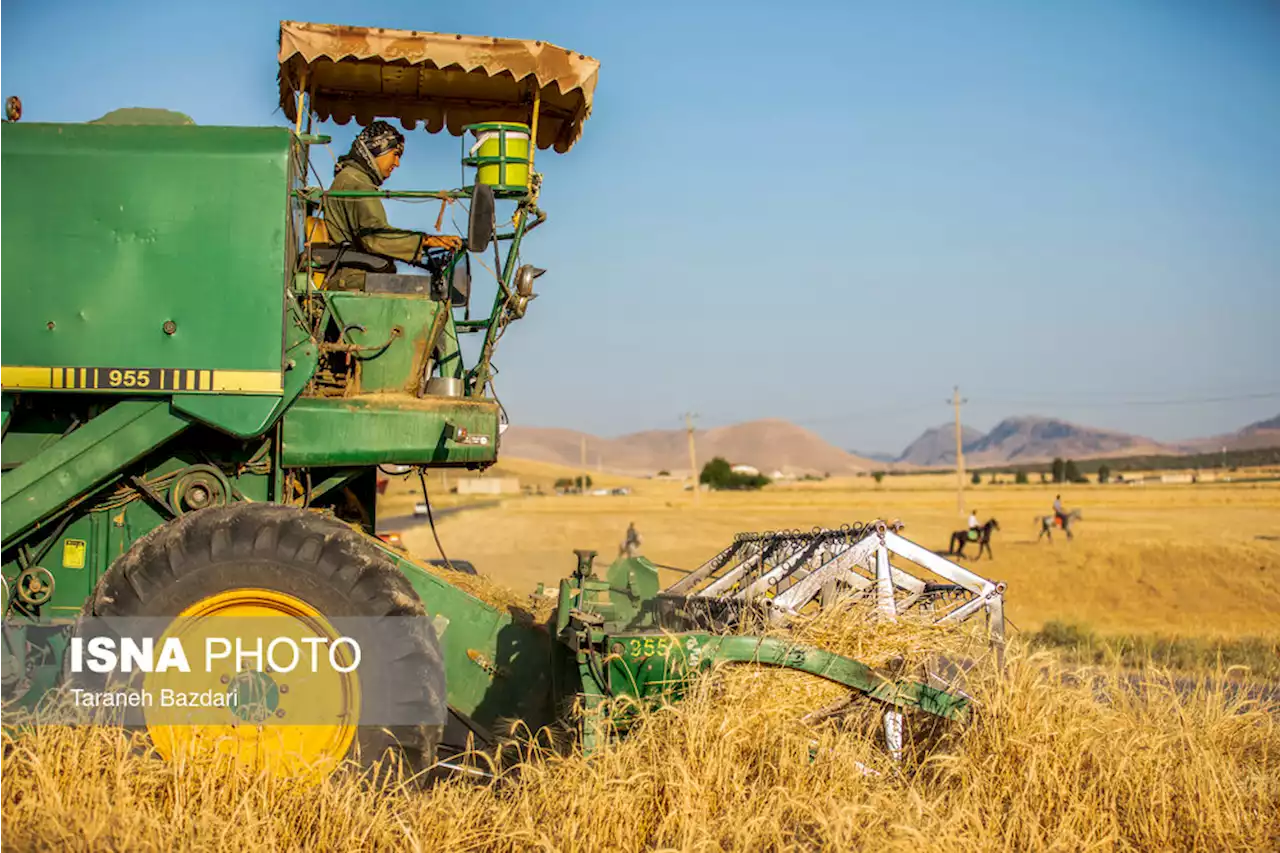 پرداخت بیش از ۲ هزار میلیارد تومان تسهیلات مکانیزاسیون/ ورود ۱۰۰۰ دستگاه کمباین نو به مزارع