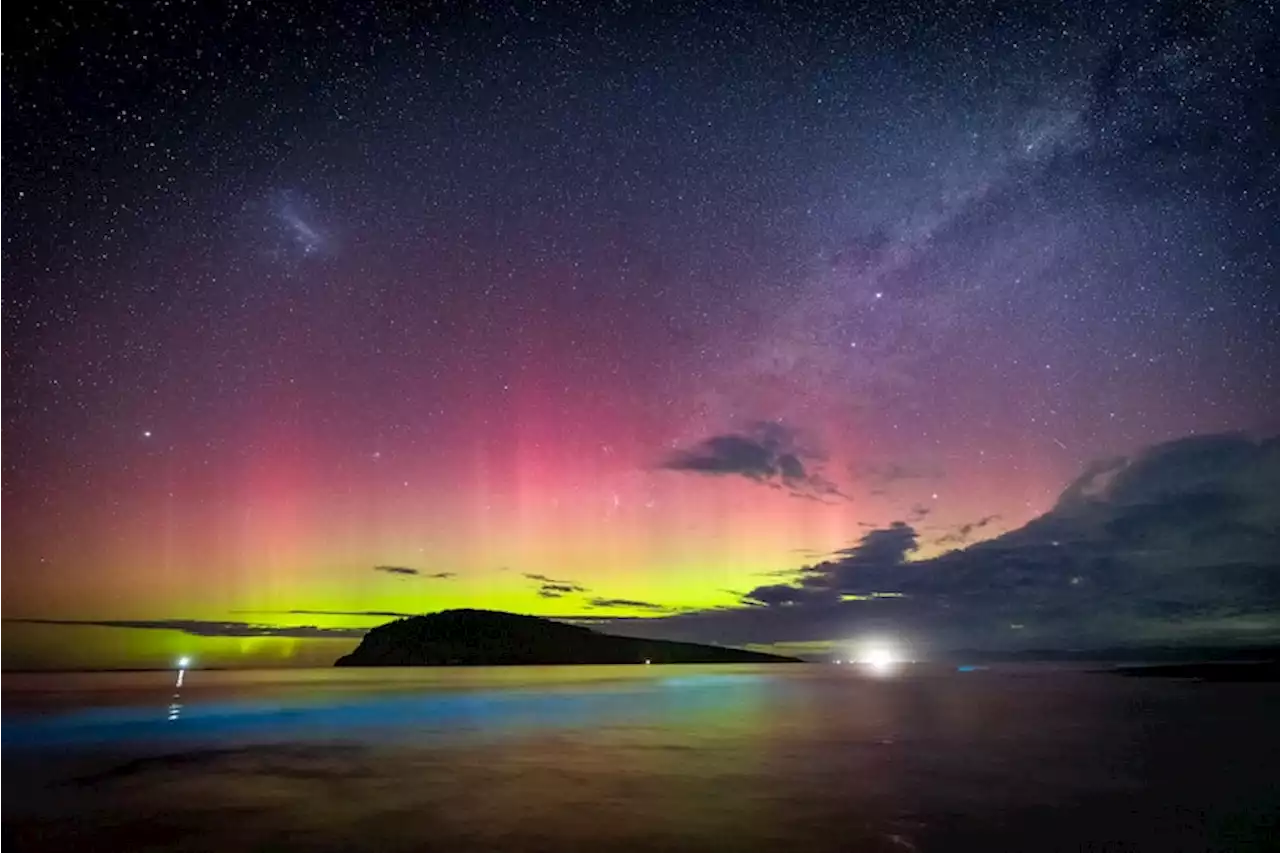 Penjelasan Pakar Mengapa Perairan dan Serangga di Tasmania Bisa Menyala