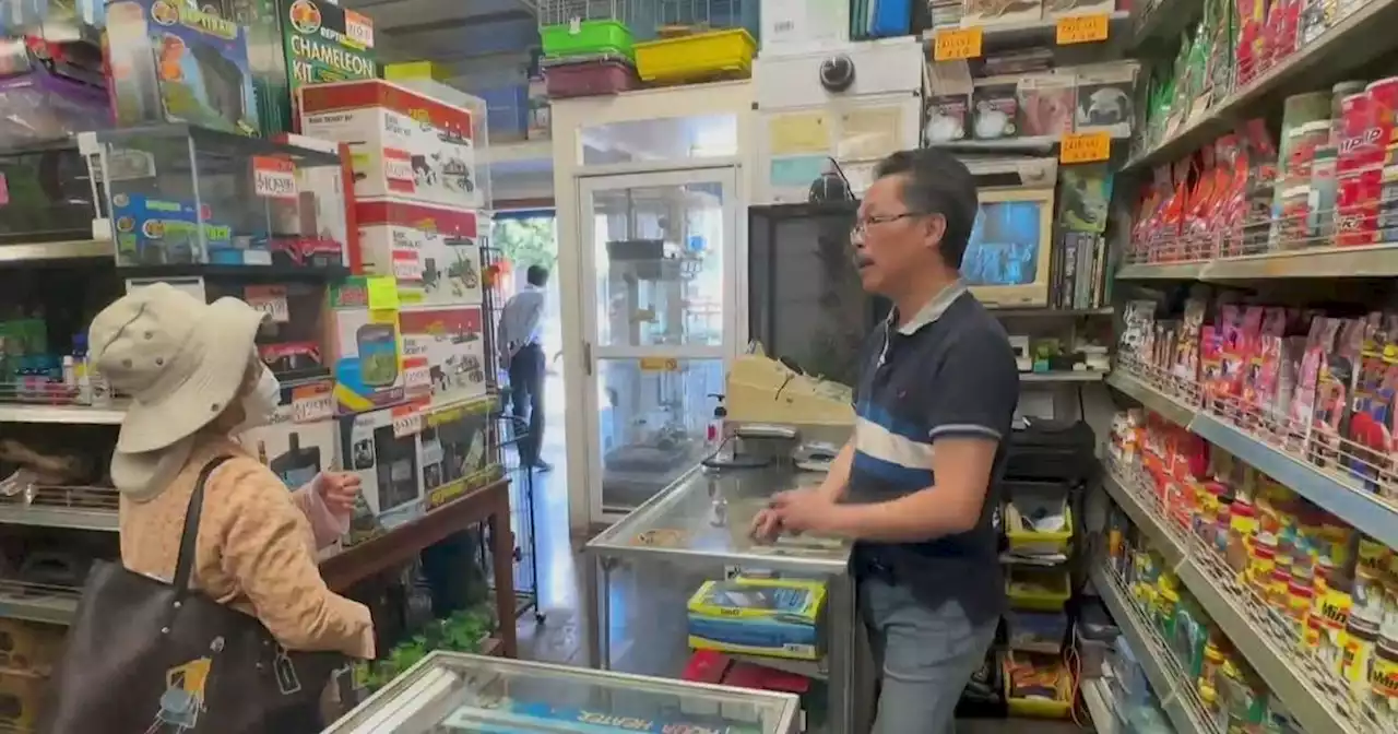 San Francisco pet shop owner looking to give away business for free, with a catch