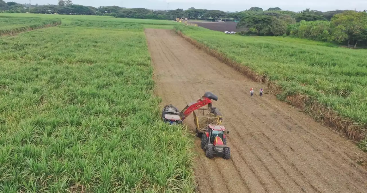 Gobierno Petro busca agilizar compra de tierras a través de decreto