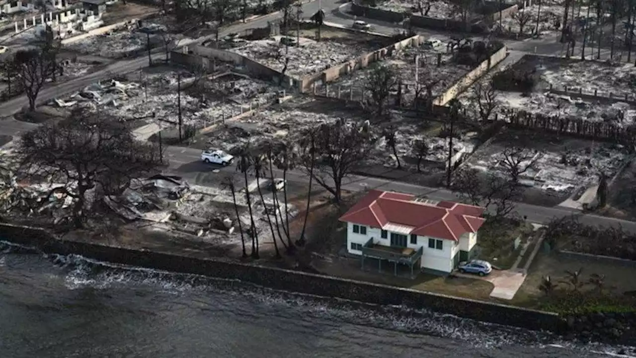 Incendios en Hawai: la impresionante imagen de la casa que sobrevivió al fuego en Maui