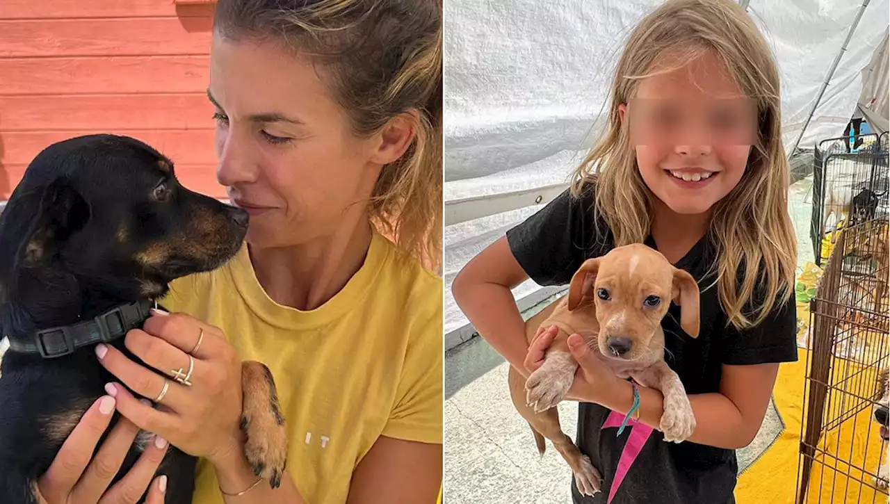 Elisabetta Canalis e la figlia Skyler in visita a un canile: 'Attenzione, i cani non sono giocattoli per bambini. Pensateci bene'