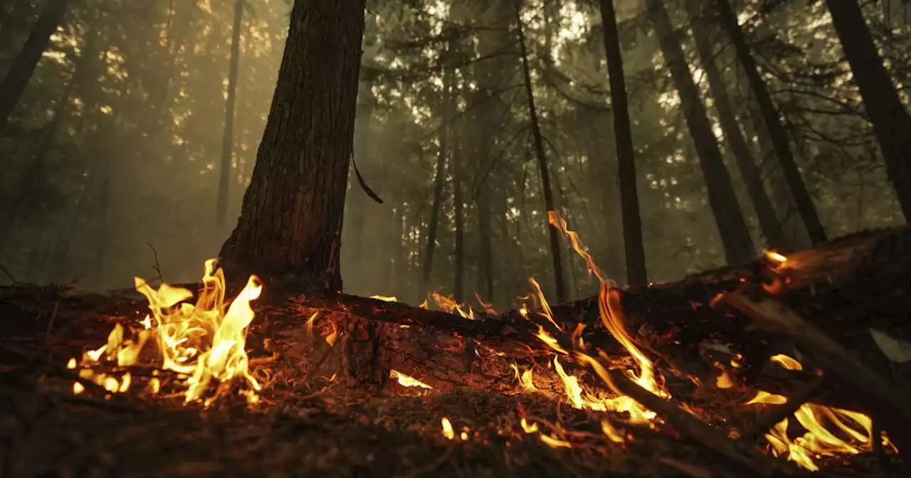 Bomberos logran avances ante incendios en Canadá; siguen evacuaciones