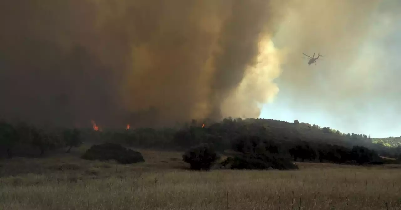 Gale-force winds fan dozens of deadly wildfires across Greece