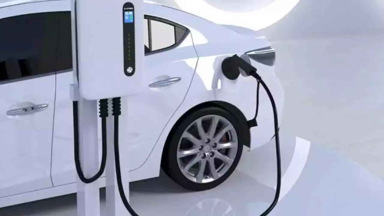 We 'll Procure Electric Vehicles To Cover Fuel Subsidy Removal — Transportation Minister