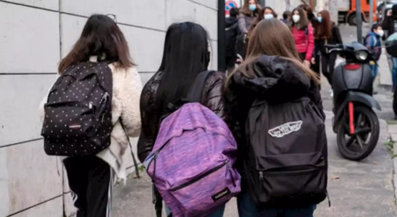 Bocciata alla scuola media con sei insufficienze, fa ricorso al Tar e viene promossa