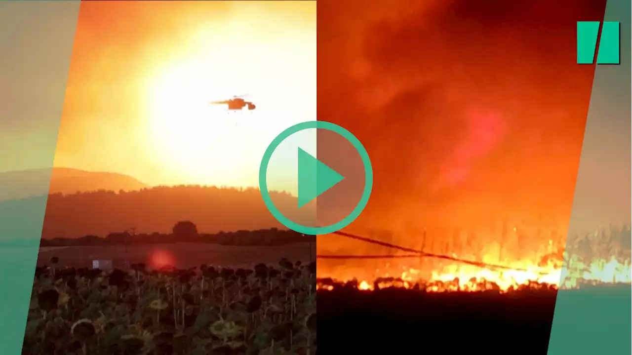 En Grèce, une nouvelle série d’incendies meurtriers fait deux morts