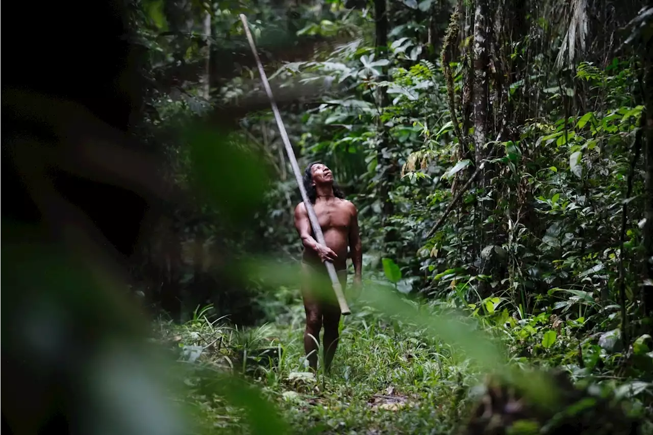 Les Equatoriens approuvent l'arrêt d'un gisement pétrolier emblématique dans une réserve amazonienne