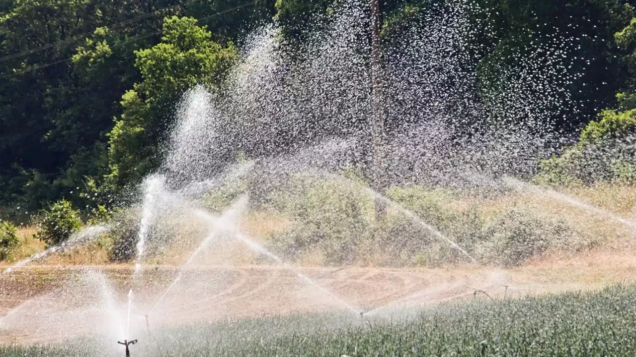 Quand un maraîcher breton, à la recherche d'eau, fait appel au financement participatif