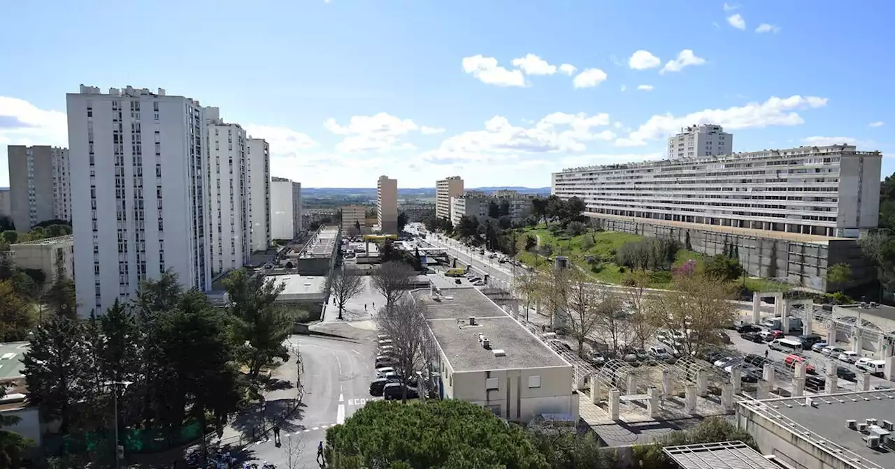 Nîmes : un enfant de 10 ans tué dans une fusillade dans le quartier Pissevin