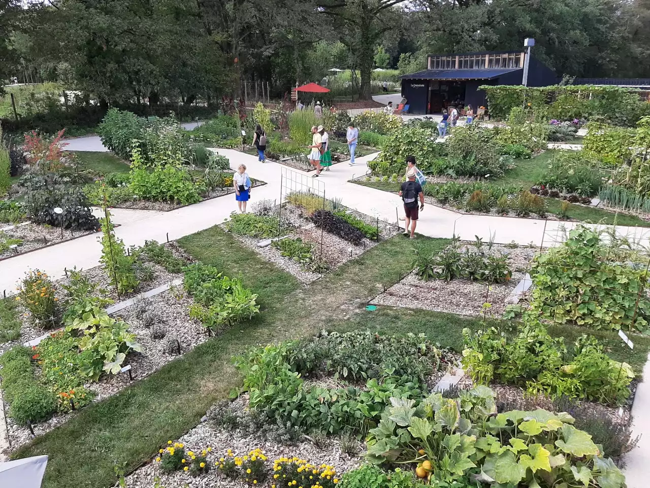 Vendée : le Potager extraordinaire emmène les petits curieux à la découverte des légumes du jardin