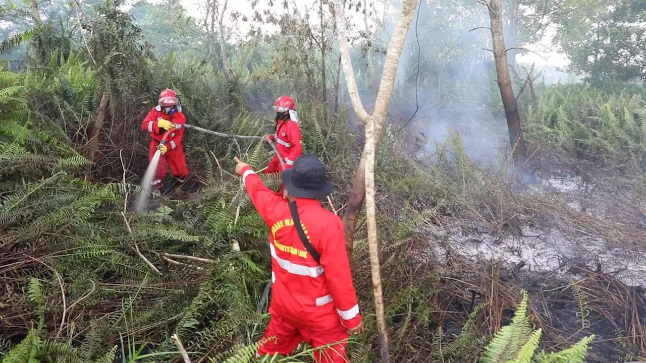 Satgas Karhutla Amankan 2 Terduga Pelaku Pembakar Lahan di Kabupaten Seruyan