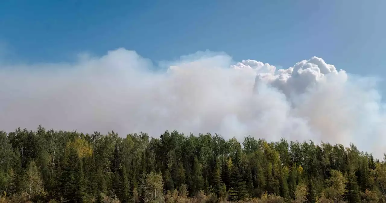 Incendies au Canada : dans l’ouest du pays, la pluie offre une lueur d’espoir