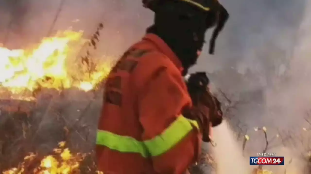 Il caldo 'spinge' gli incendi in Europa, in Italia picco di interventi dei pompieri